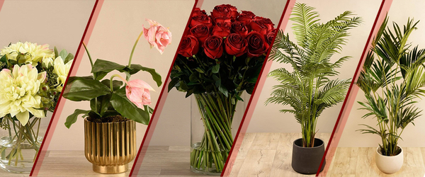 bloomr artificial flowers trees arrangement uae ksa 1