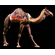 JORDANIAN SPIRIT - Camel Caravan Miniature